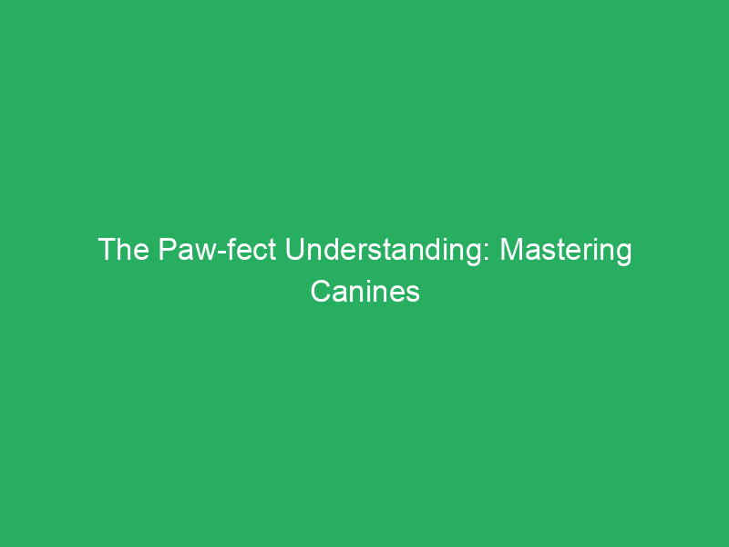 The Paw-fect Understanding: Mastering Canines Obedience with a Coaching ...