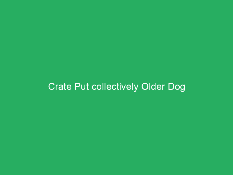 Crate Put collectively Older Dog