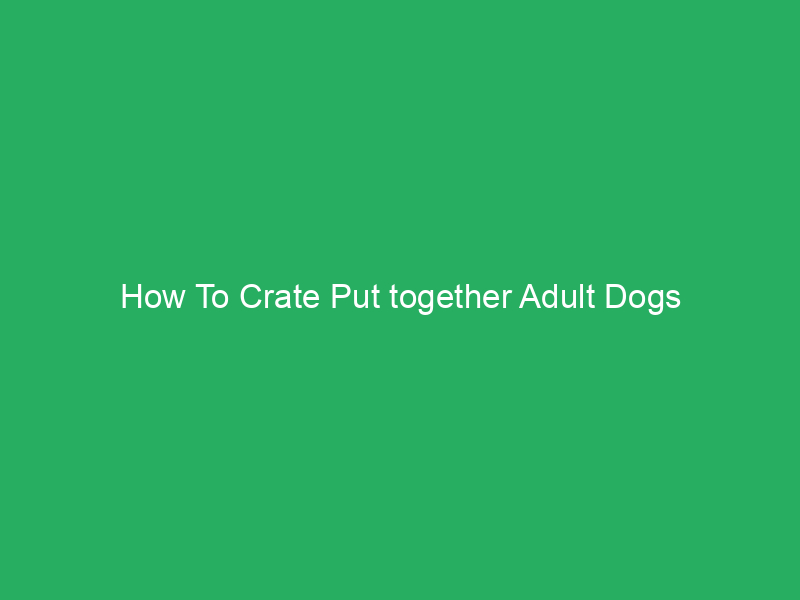 How To Crate Put together Adult Dogs